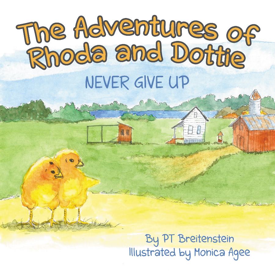 Never Give Up    Hardback Image